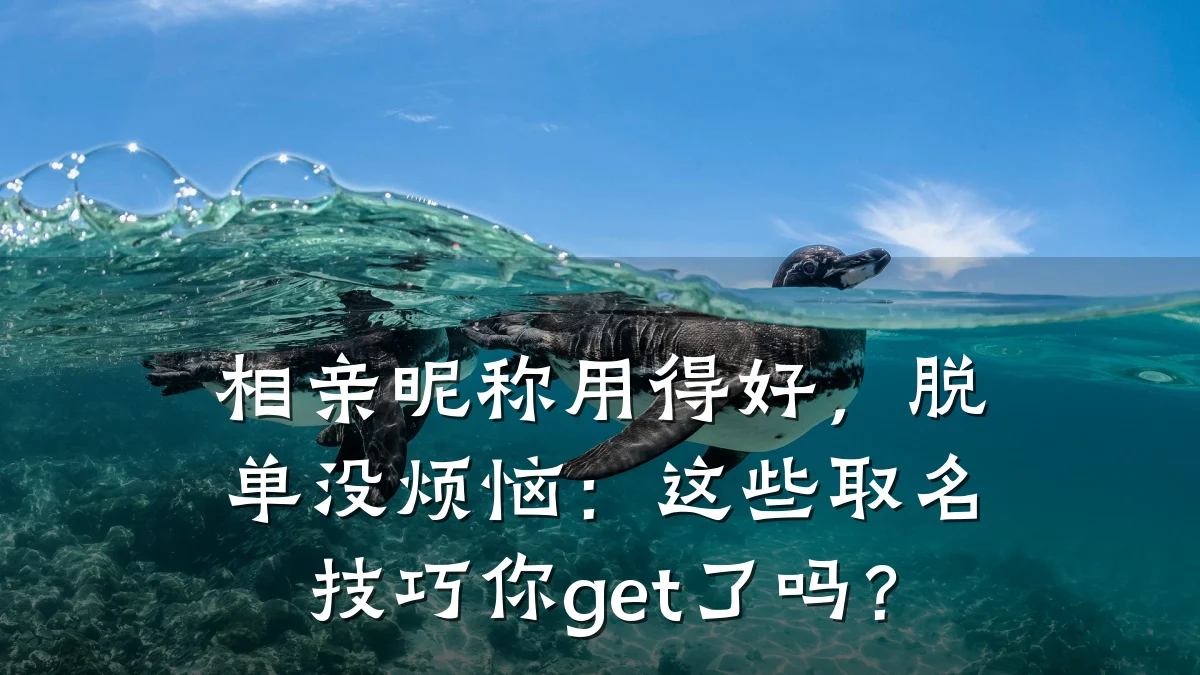 相亲昵称用得好,脱单没烦恼:这些取名技巧你get了吗?