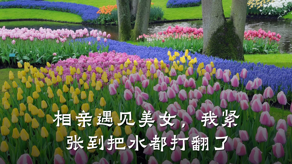 相亲遇见美女,我紧张到把水都打翻了