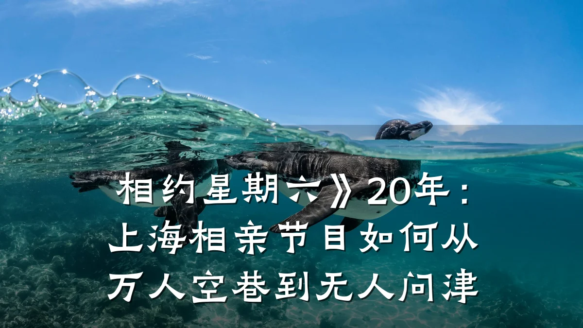 相约星期六》20年:上海相亲节目如何从万人空巷到无人问津