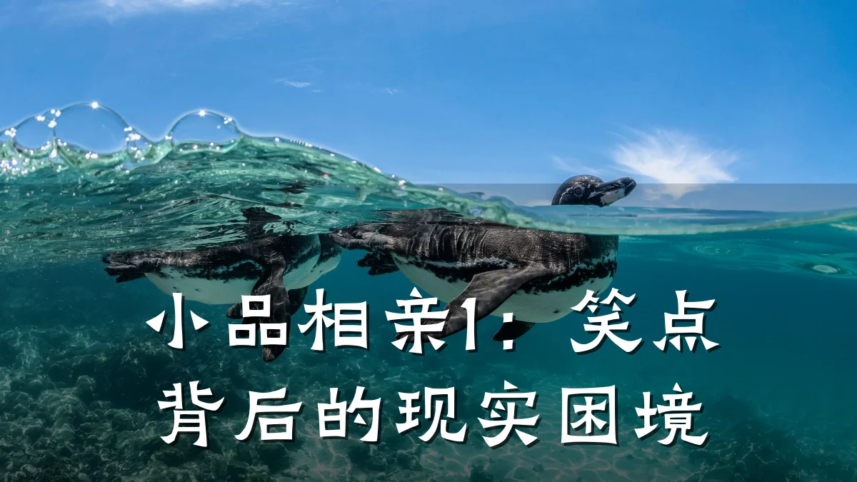 小品相亲1:笑点背后的现实困境