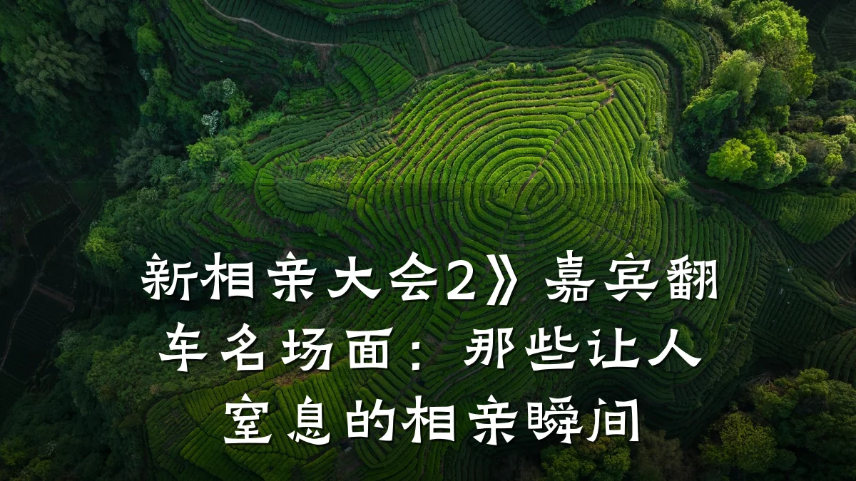 新相亲大会2》嘉宾翻车名场面:那些让人窒息的相亲瞬间