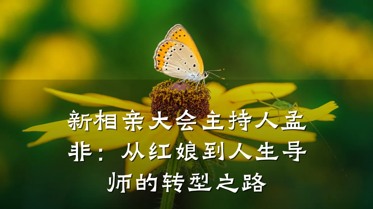 新相亲大会主持人孟非:从红娘到人生导师的转型之路