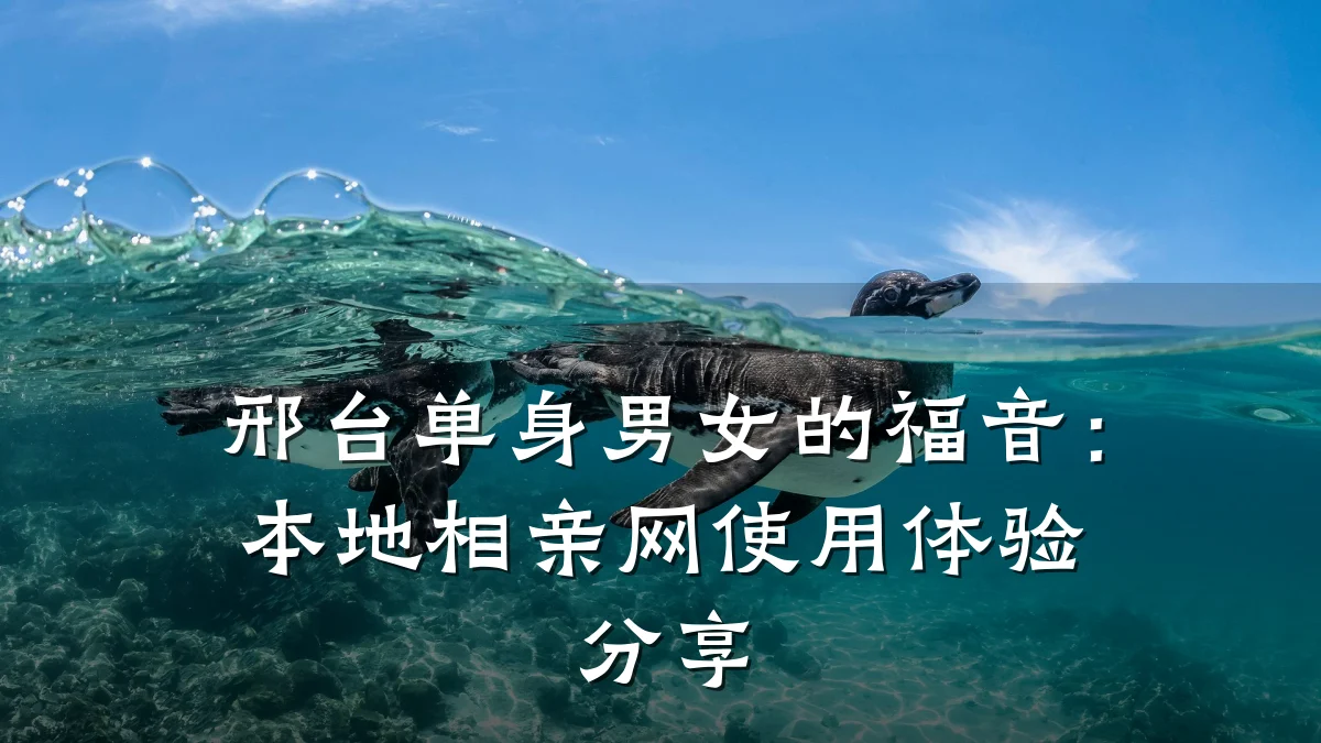 邢台单身男女的福音:本地相亲网使用体验分享