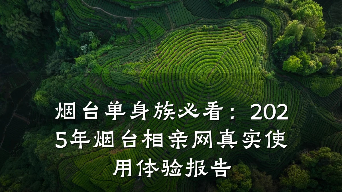 烟台单身族必看:2025年烟台相亲网真实使用体验报告
