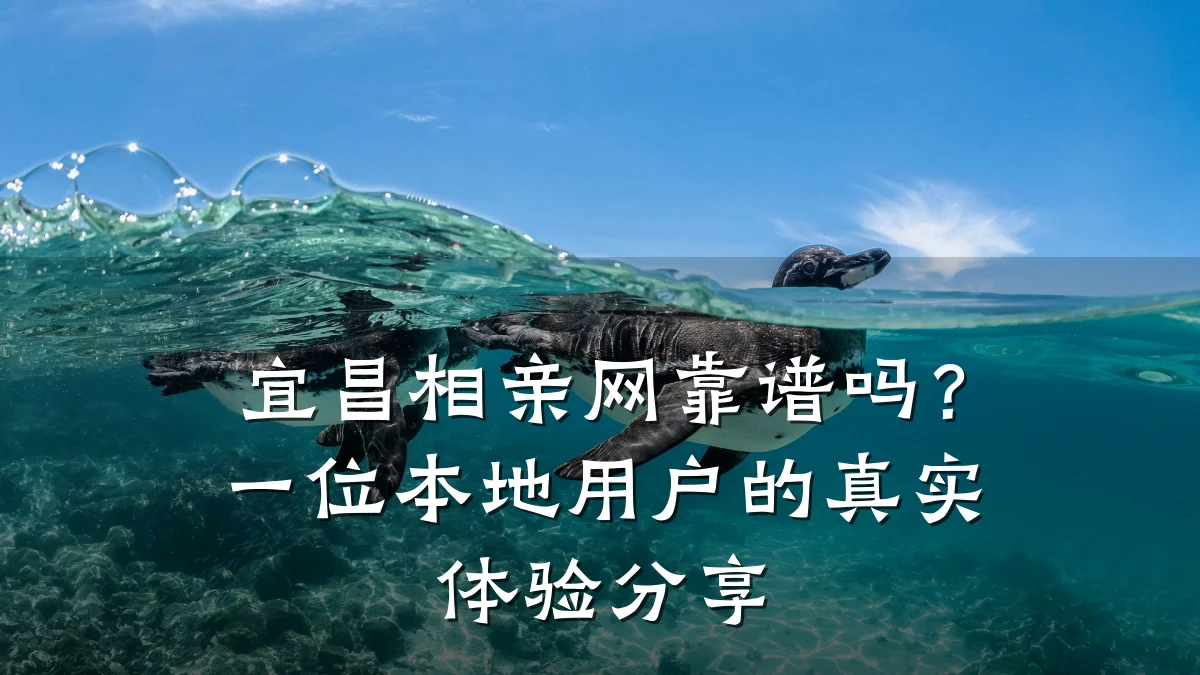 宜昌相亲网靠谱吗?一位本地用户的真实体验分享