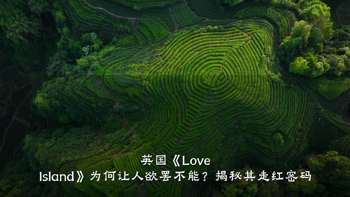 英国《Love Island》为何让人欲罢不能?揭秘其走红密码