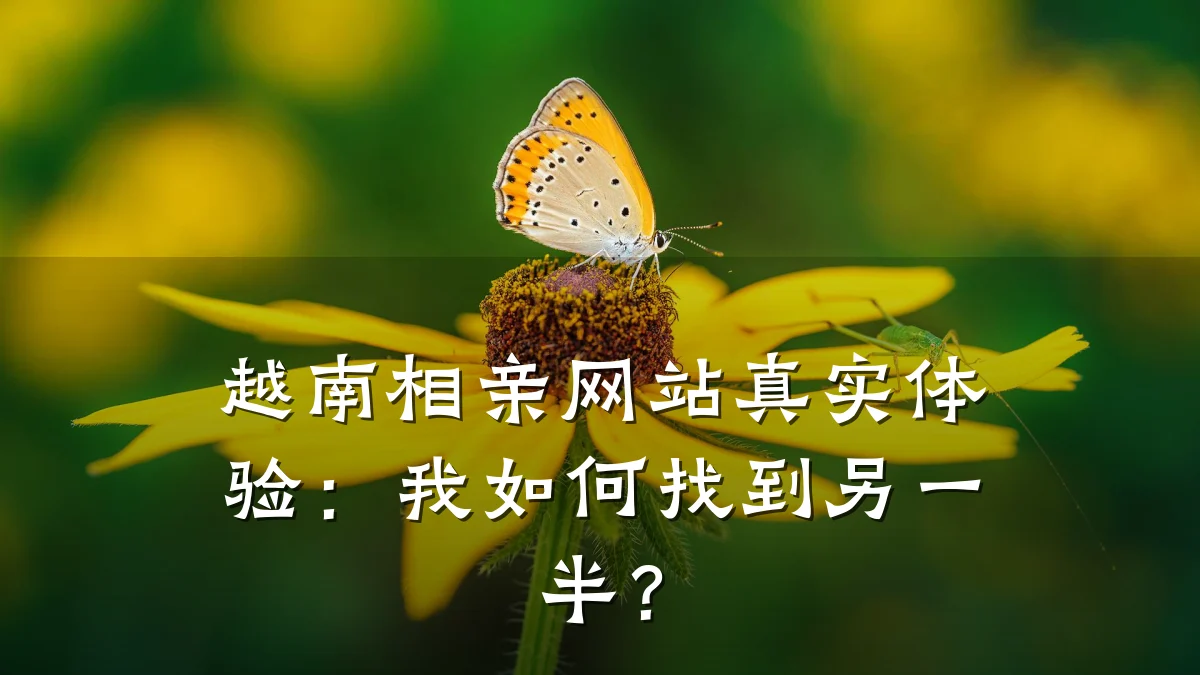 越南相亲网站真实体验:我如何找到另一半?