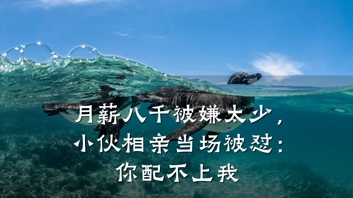 月薪八千被嫌太少,小伙相亲当场被怼:你配不上我
