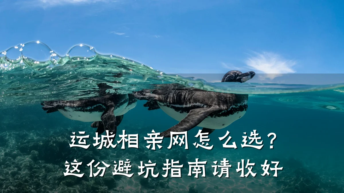 运城相亲网怎么选?这份避坑指南请收好