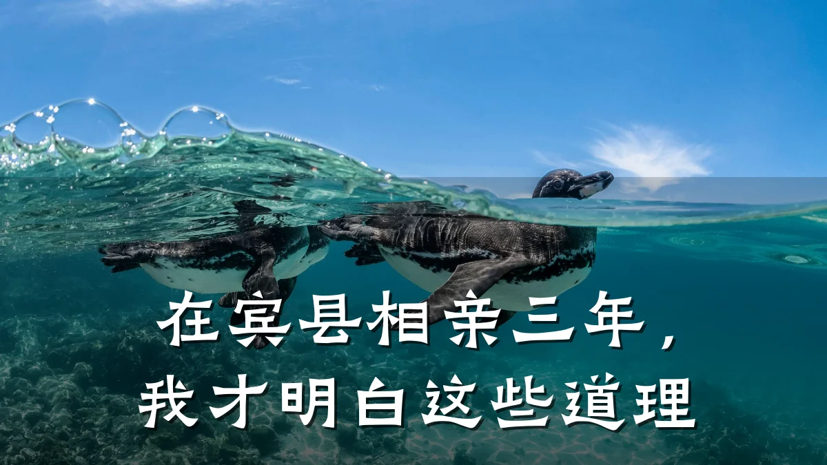 在宾县相亲三年,我才明白这些道理