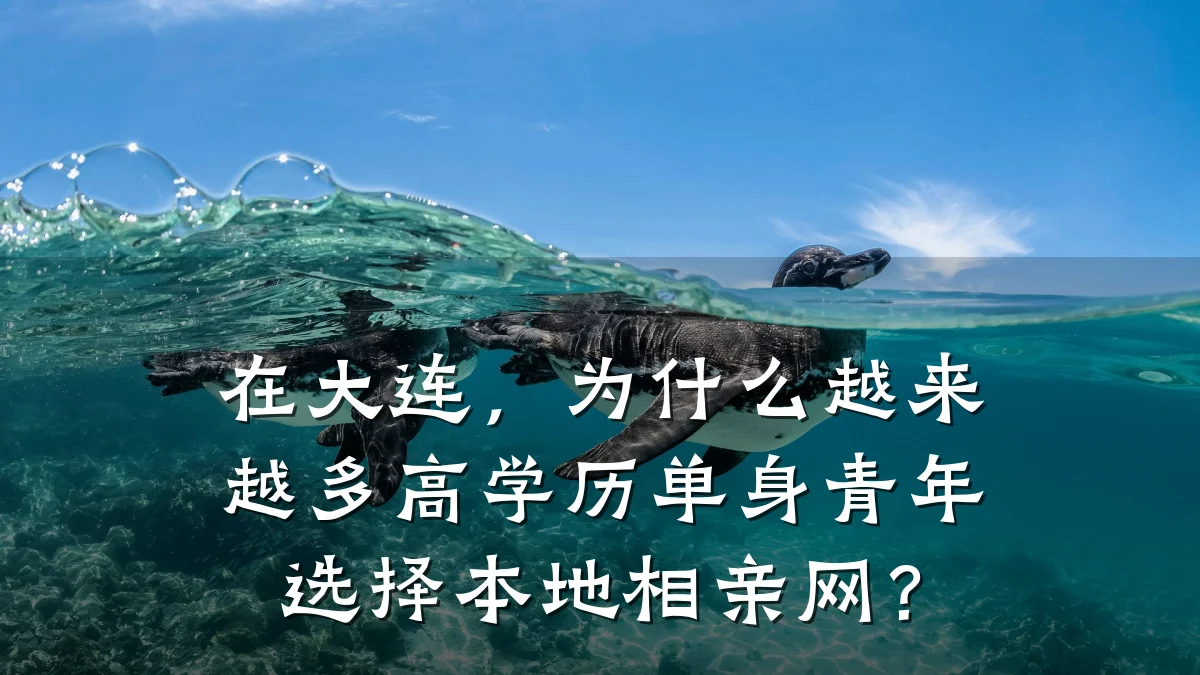 在大连,为什么越来越多高学历单身青年选择本地相亲网?