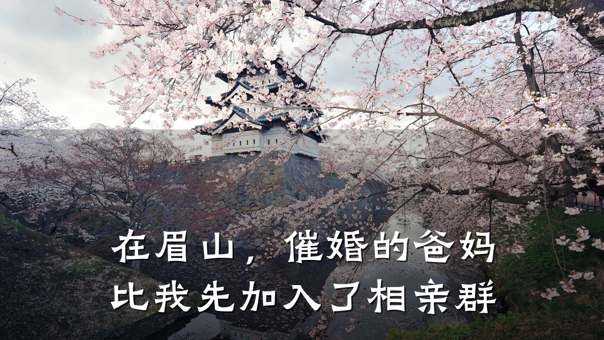 在眉山,催婚的爸妈比我先加入了相亲群