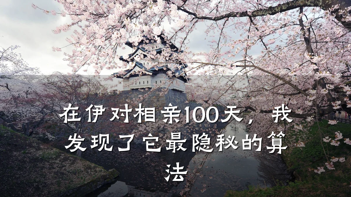 在伊对相亲100天,我发现了它最隐秘的算法