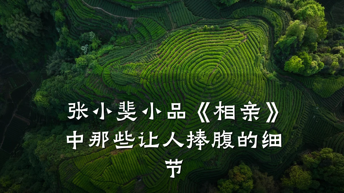 张小斐小品《相亲》中那些让人捧腹的细节