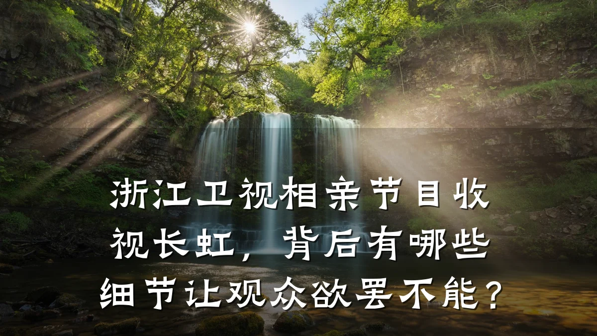浙江卫视相亲节目收视长虹,背后有哪些细节让观众欲罢不能?