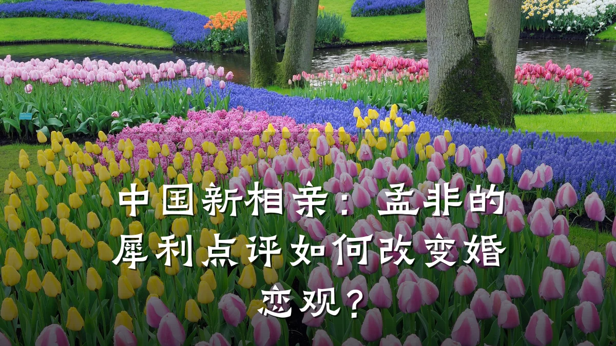 中国新相亲:孟非的犀利点评如何改变婚恋观?