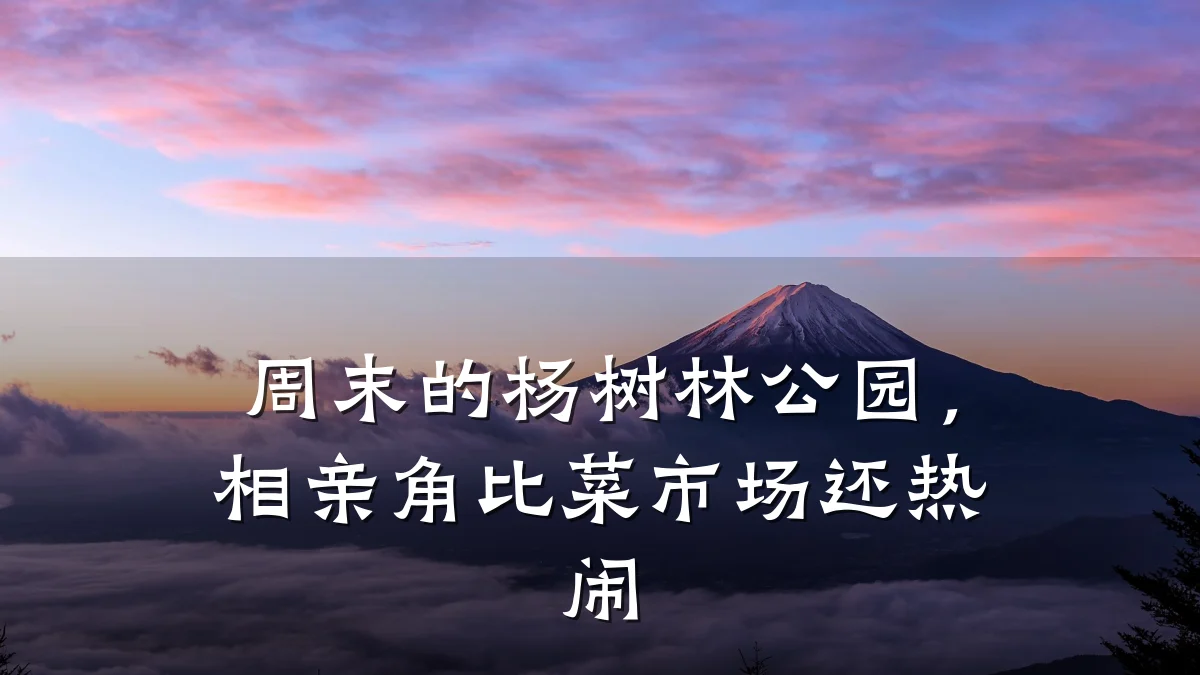 周末的杨树林公园,相亲角比菜市场还热闹