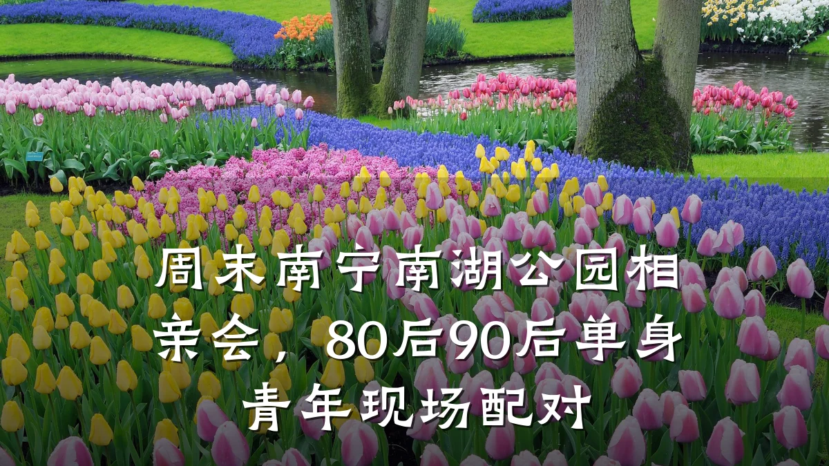 周末南宁南湖公园相亲会,80后90后单身青年现场配对