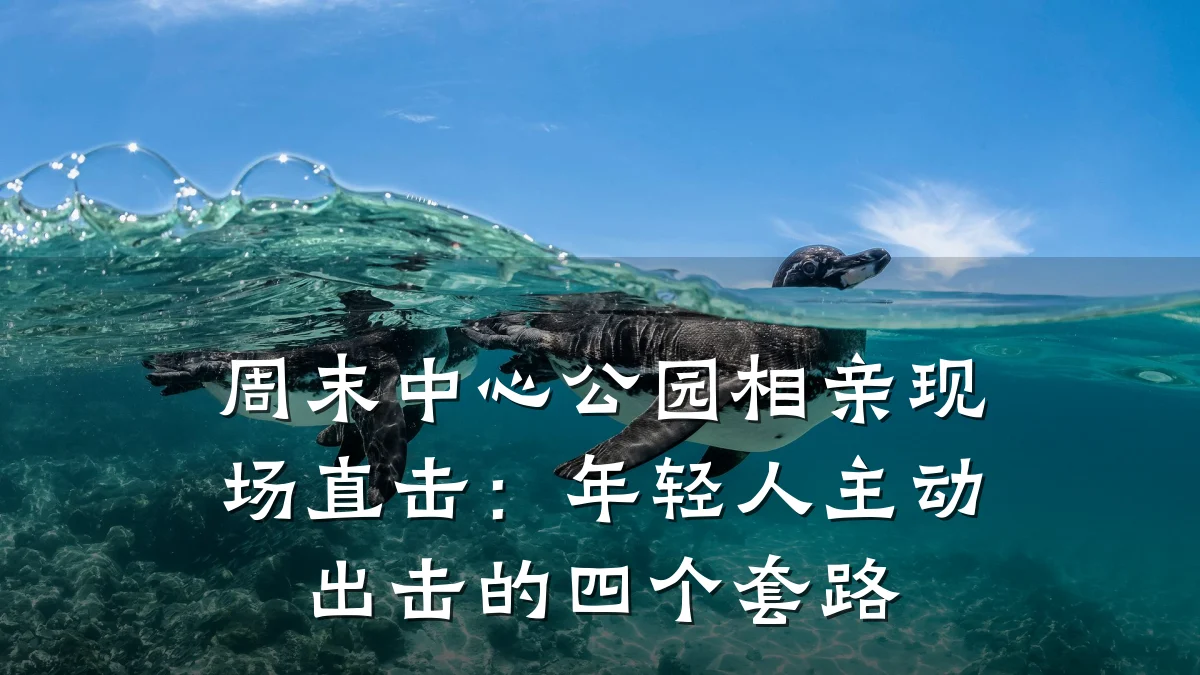 周末中心公园相亲现场直击:年轻人主动出击的四个套路