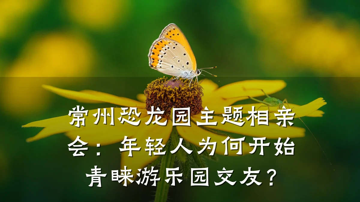 常州恐龙园主题相亲会:年轻人为何开始青睐游乐园交友?