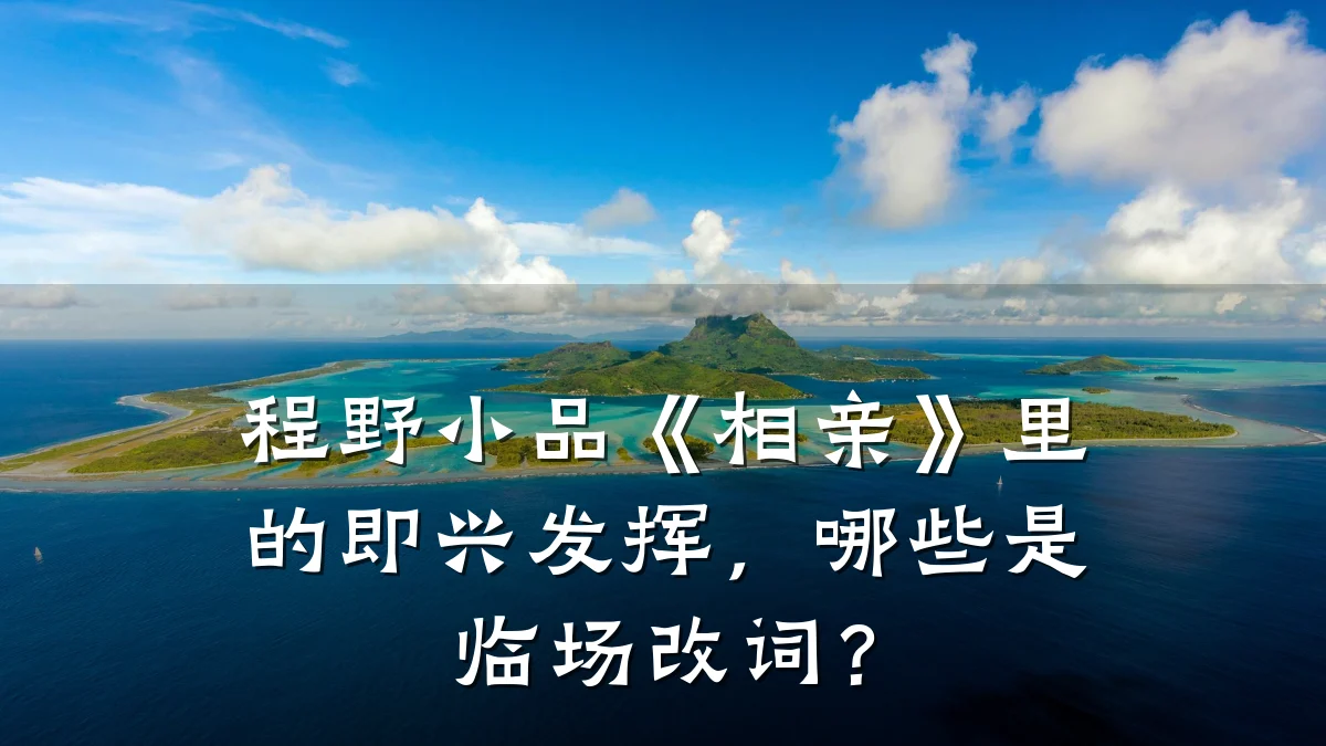 程野小品《相亲》里的即兴发挥,哪些是临场改词?