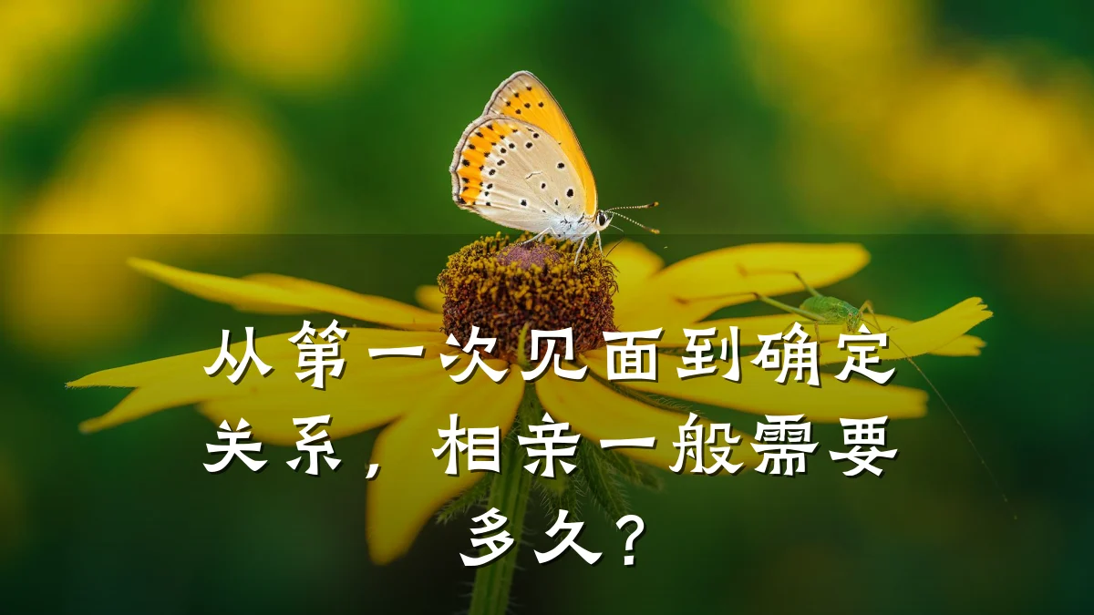 从第一次见面到确定关系,相亲一般需要多久?