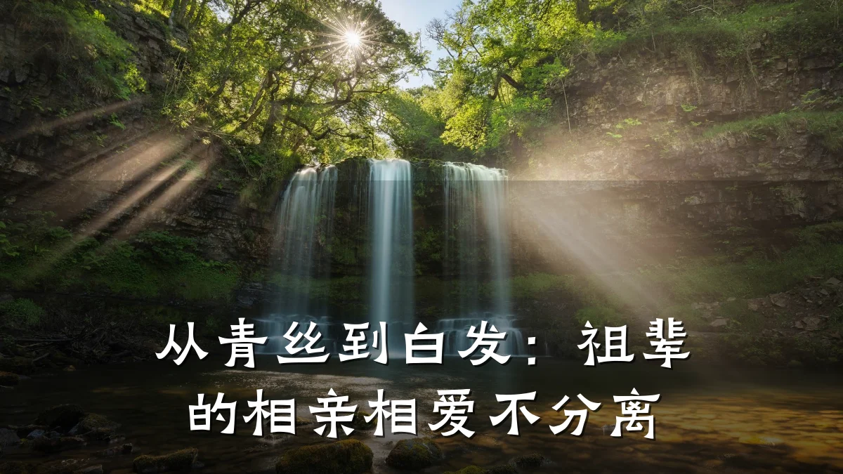 从青丝到白发:祖辈的相亲相爱不分离