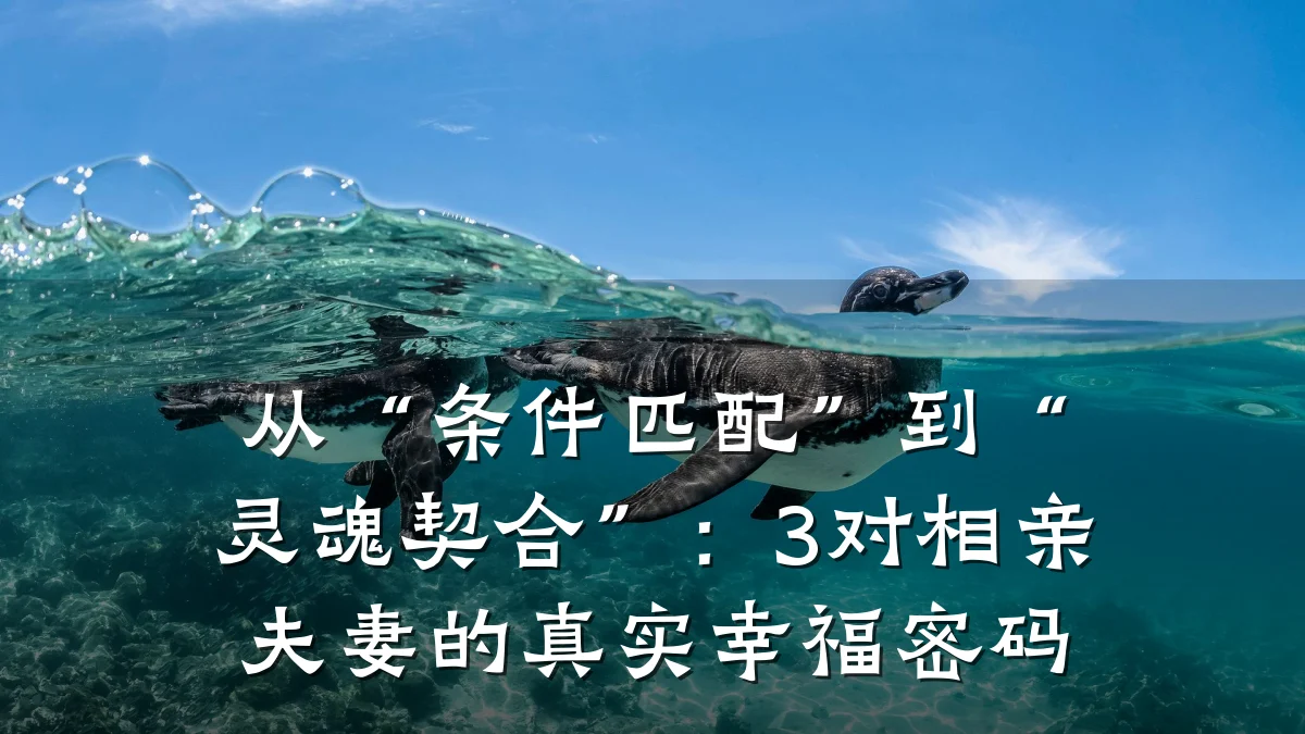 从“条件匹配”到“灵魂契合”:3对相亲夫妻的真实幸福密码