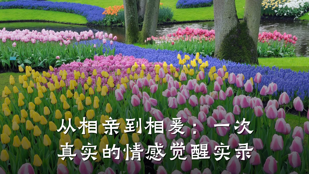 从相亲到相爰:一次真实的情感觉醒实录