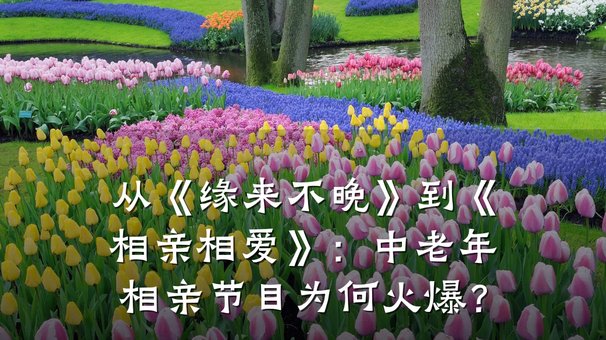 从《缘来不晚》到《相亲相爱》:中老年相亲节目为何火爆?