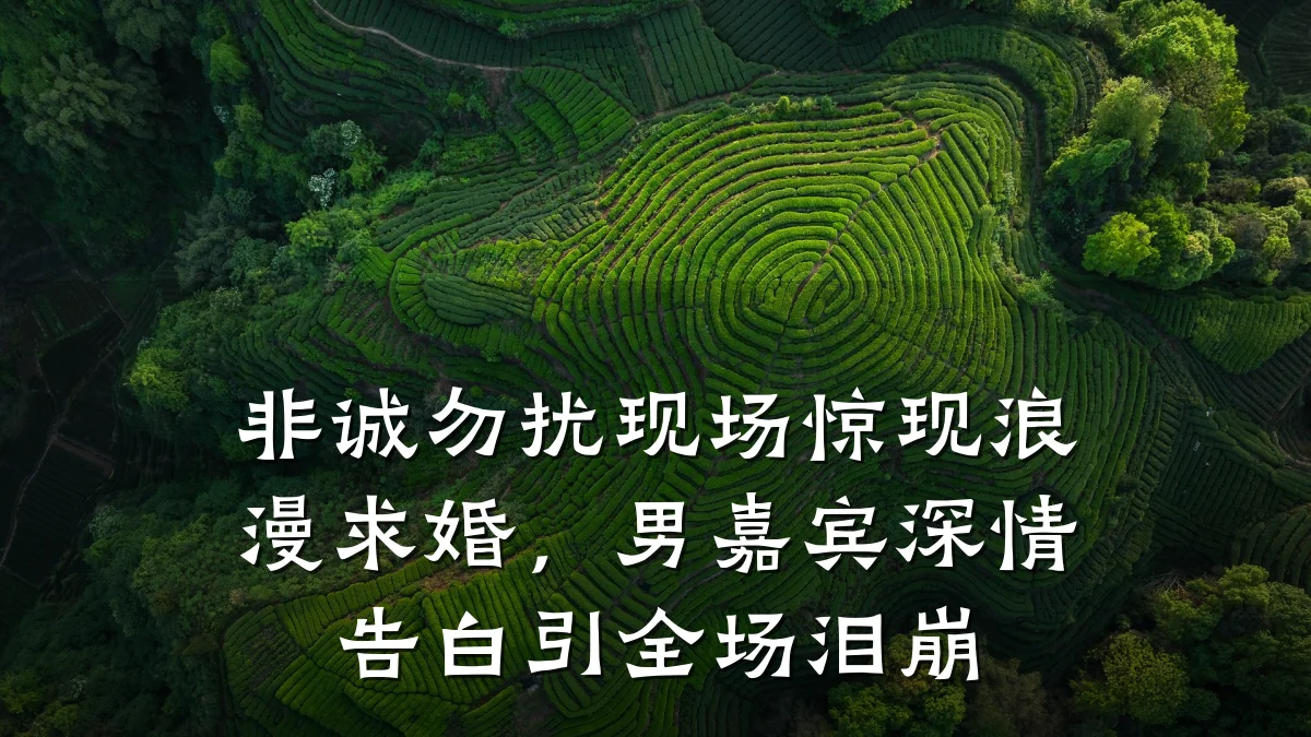 非诚勿扰现场惊现浪漫求婚,男嘉宾深情告白引全场泪崩