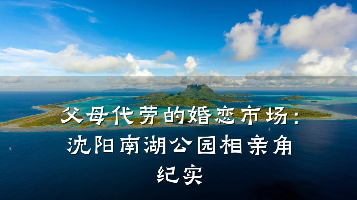 父母代劳的婚恋市场:沈阳南湖公园相亲角纪实