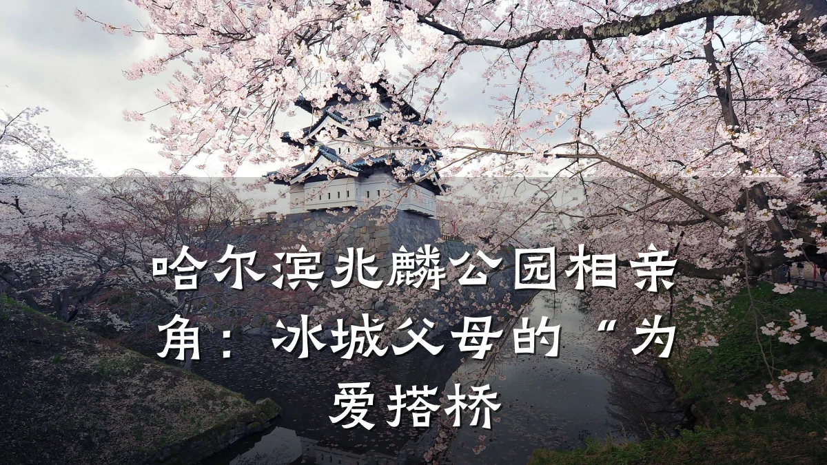 哈尔滨兆麟公园相亲角:冰城父母的“为爱搭桥
