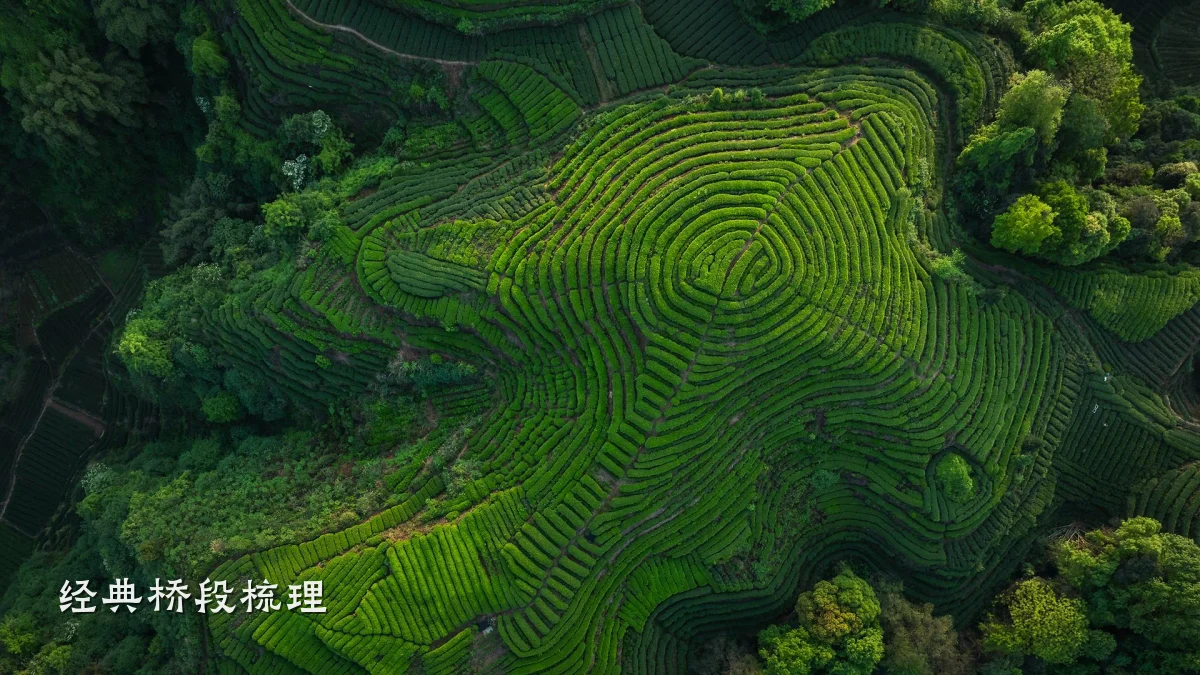 经典桥段梳理