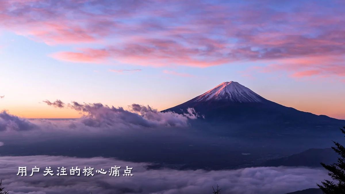 用户关注的核心痛点