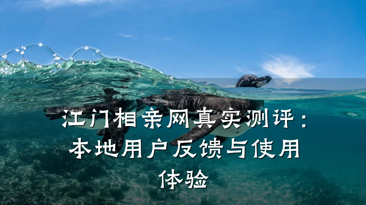 江门相亲网真实测评:本地用户反馈与使用体验