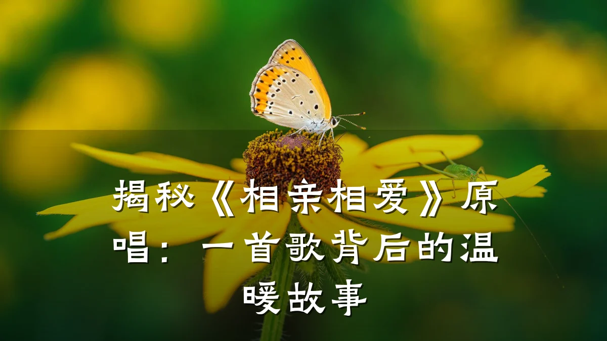 揭秘《相亲相爱》原唱:一首歌背后的温暖故事