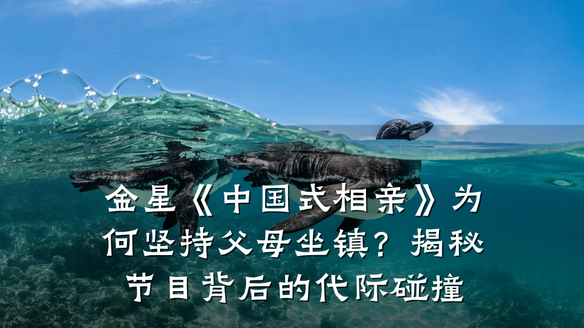 金星《中国式相亲》为何坚持父母坐镇?揭秘节目背后的代际碰撞