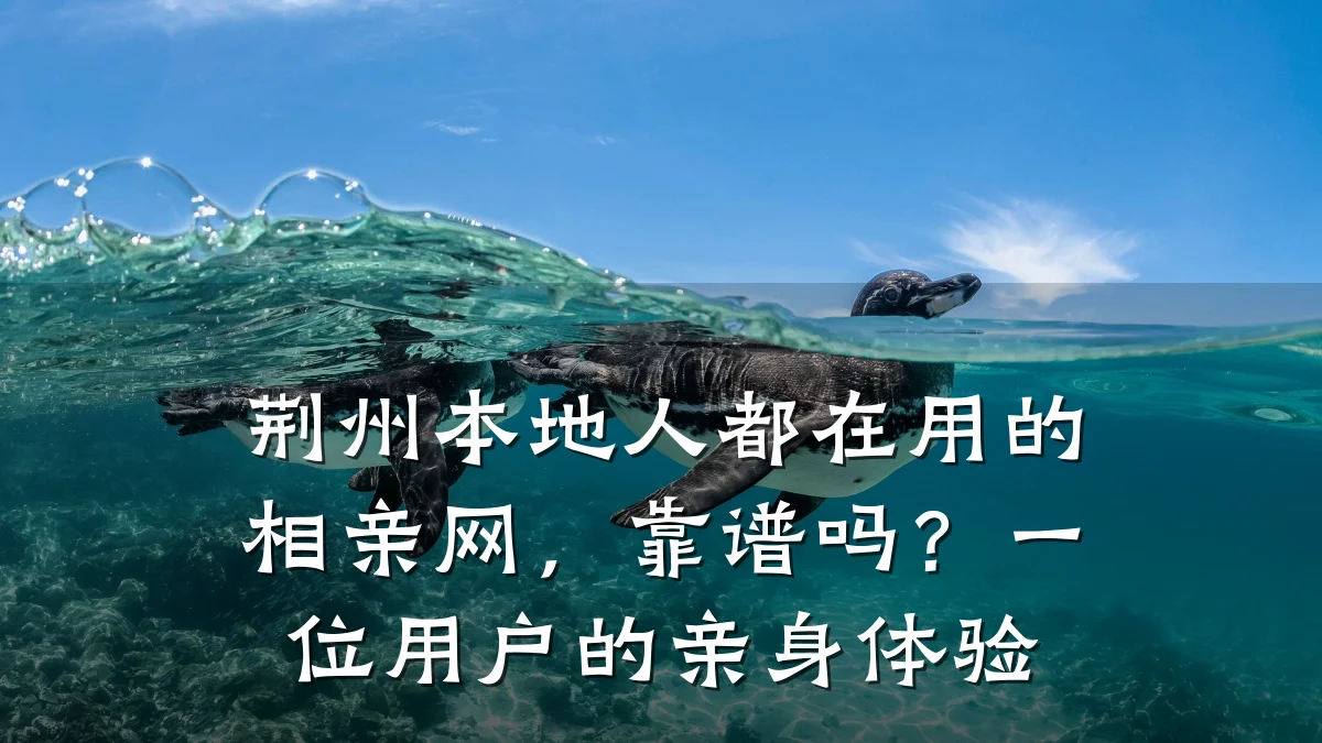 荆州本地人都在用的相亲网,靠谱吗?一位用户的亲身体验