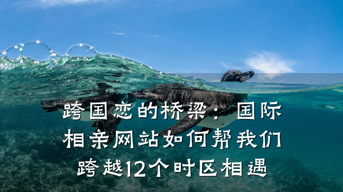 跨国恋的桥梁:国际相亲网站如何帮我们跨越12个时区相遇