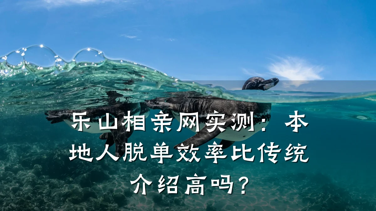 乐山相亲网实测:本地人脱单效率比传统介绍高吗?