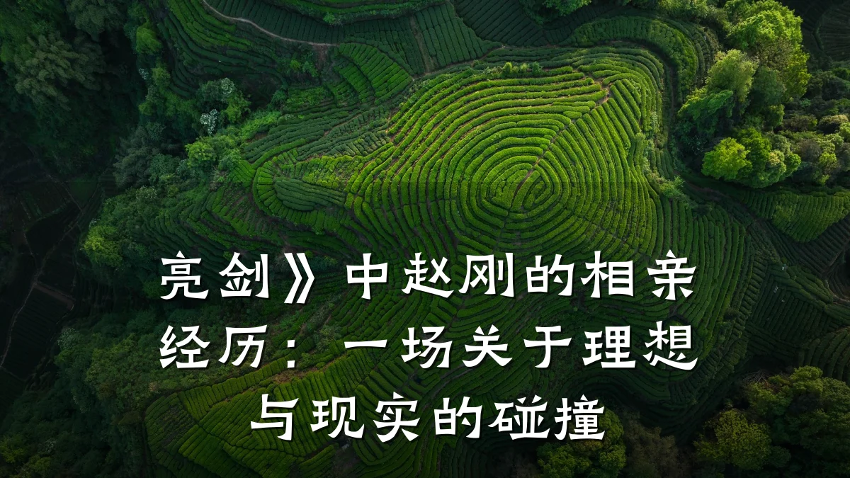 亮剑》中赵刚的相亲经历:一场关于理想与现实的碰撞