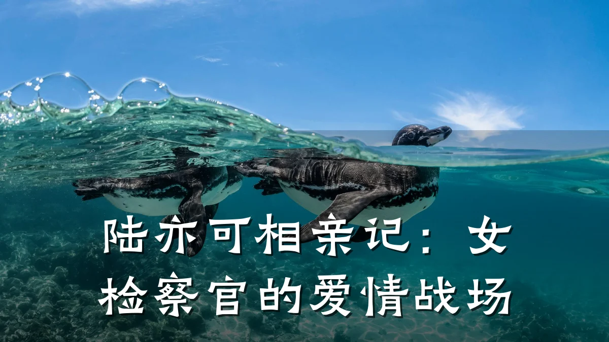 陆亦可相亲记:女检察官的爱情战场