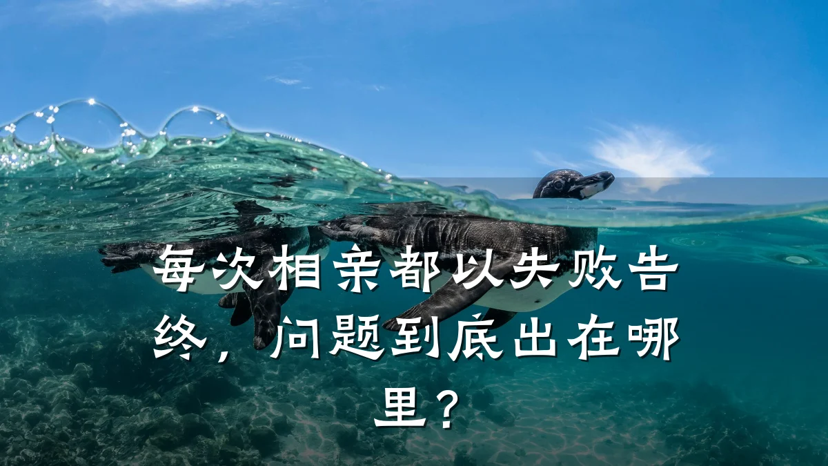 每次相亲都以失败告终,问题到底出在哪里?
