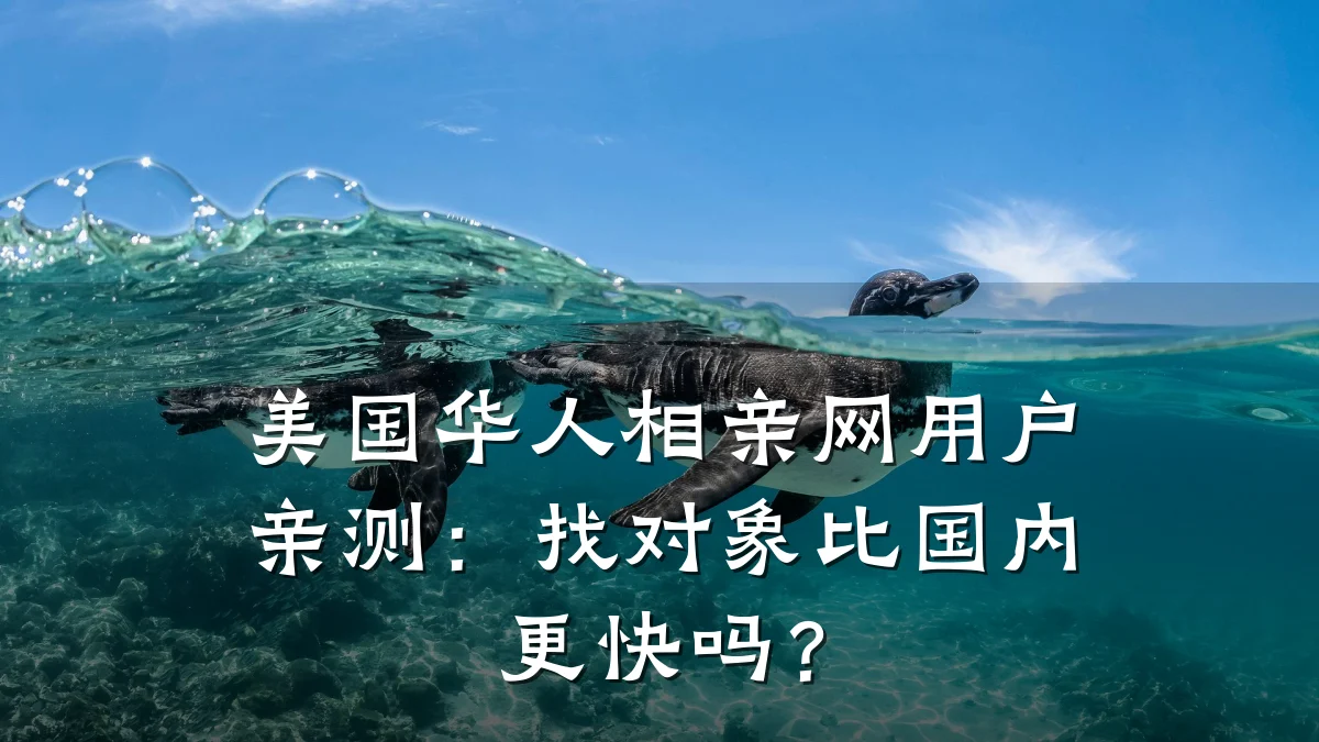 美国华人相亲网用户亲测:找对象比国内更快吗?