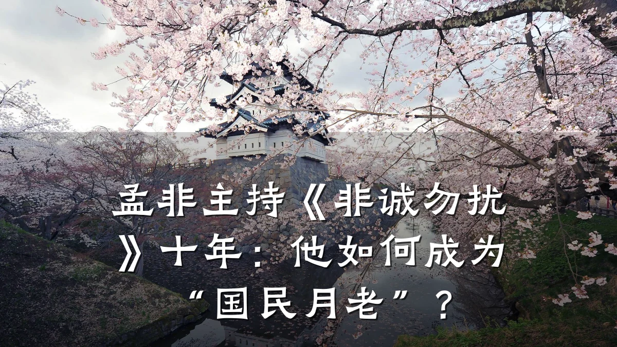 孟非主持《非诚勿扰》十年:他如何成为“国民月老”?