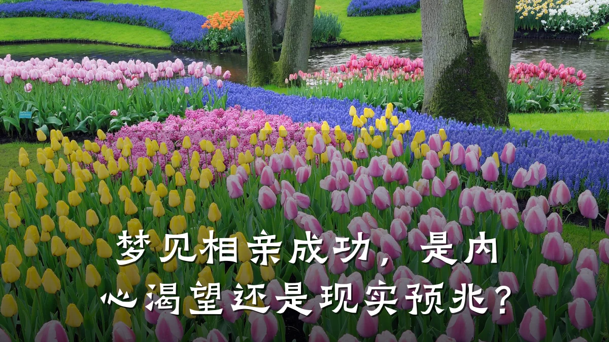 梦见相亲成功,是内心渴望还是现实预兆?