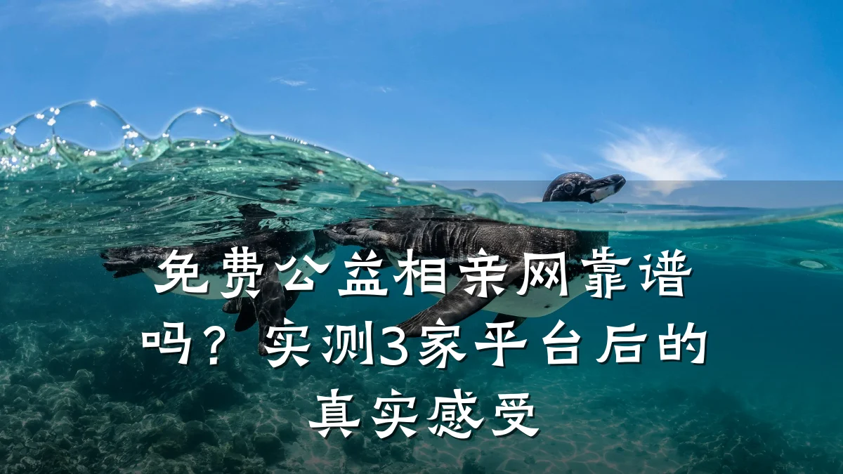 免费公益相亲网靠谱吗?实测3家平台后的真实感受