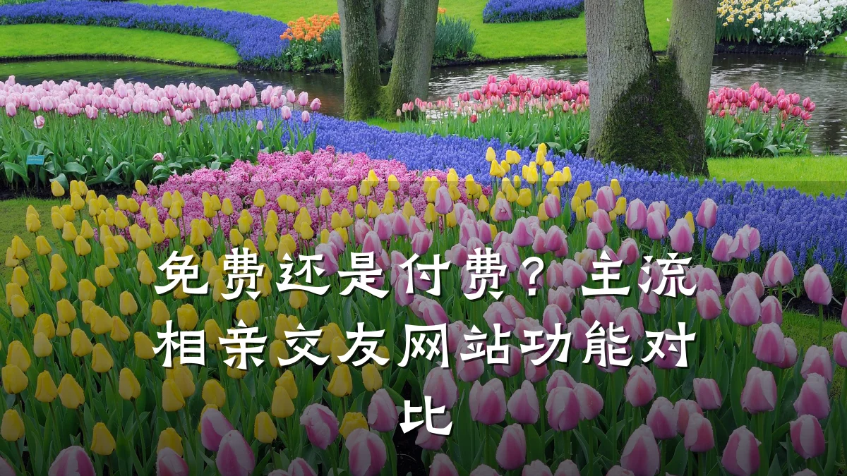 免费还是付费?主流相亲交友网站功能对比