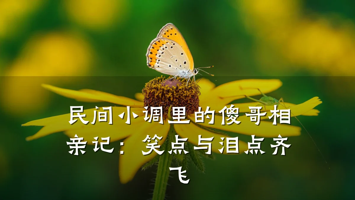 民间小调里的傻哥相亲记:笑点与泪点齐飞